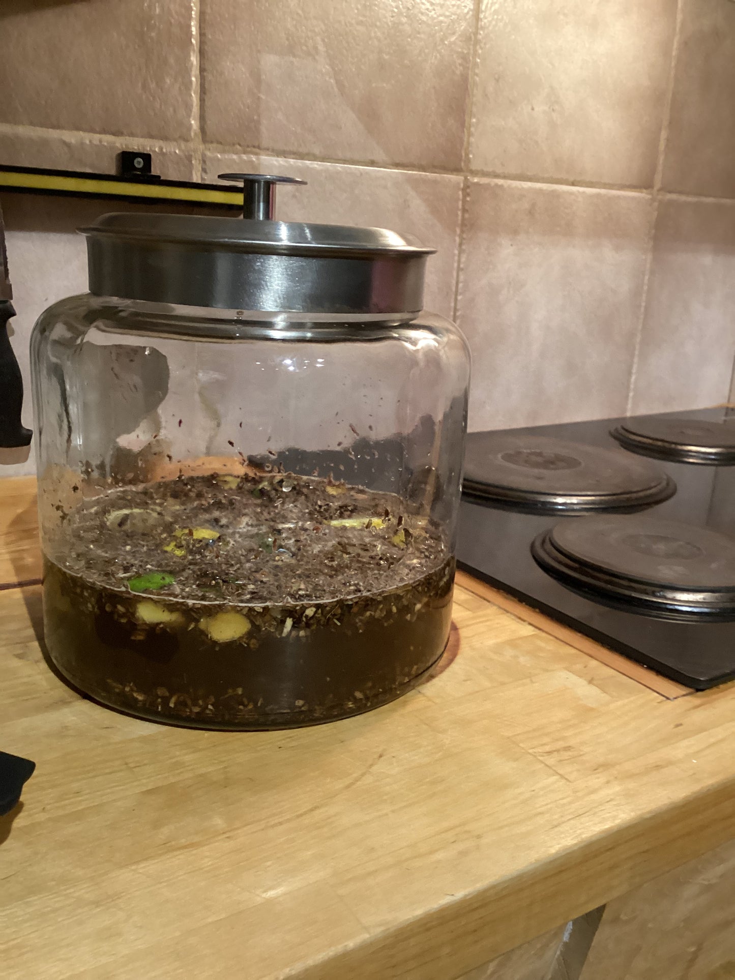 Herbs for the Nervous System