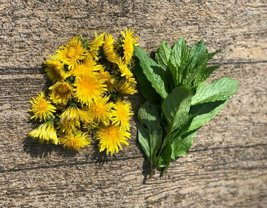 Dandelion Flower and Mint Lemonade Recipe