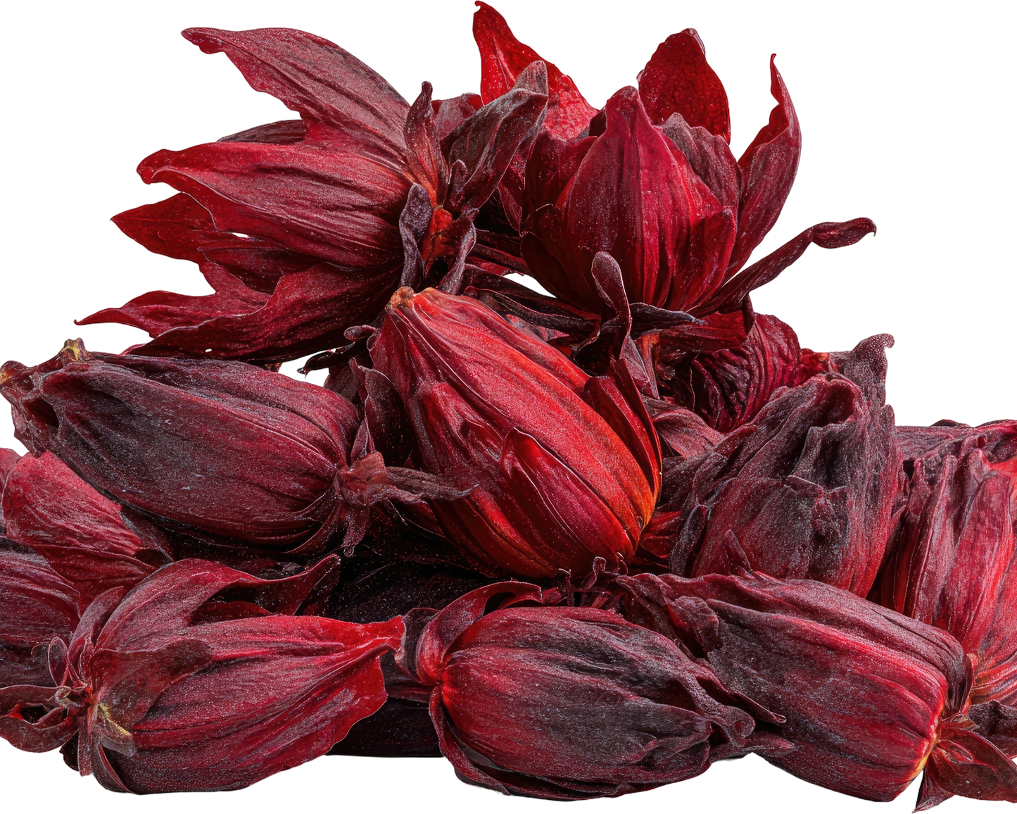 Hibiscus: History, Harvest & Heart