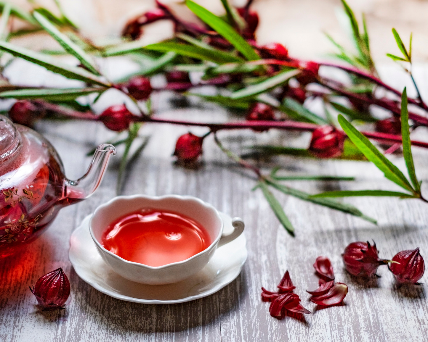 Hibiscus: History, Harvest & Heart