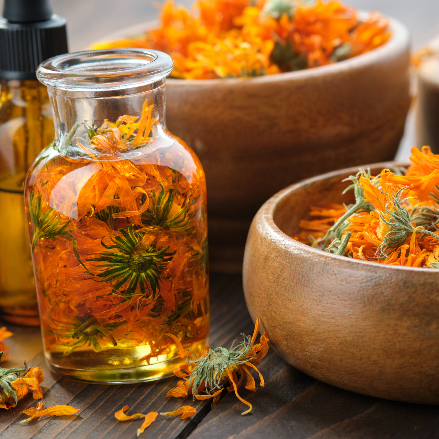 April 2026 Herbal Circle - Calendula