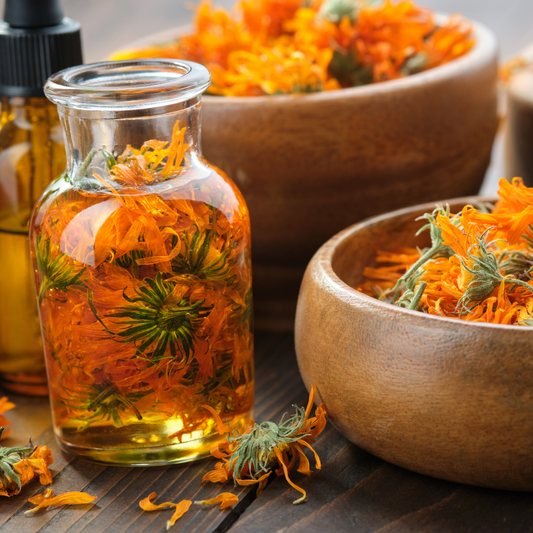 April 2026 Herbal Circle - Calendula