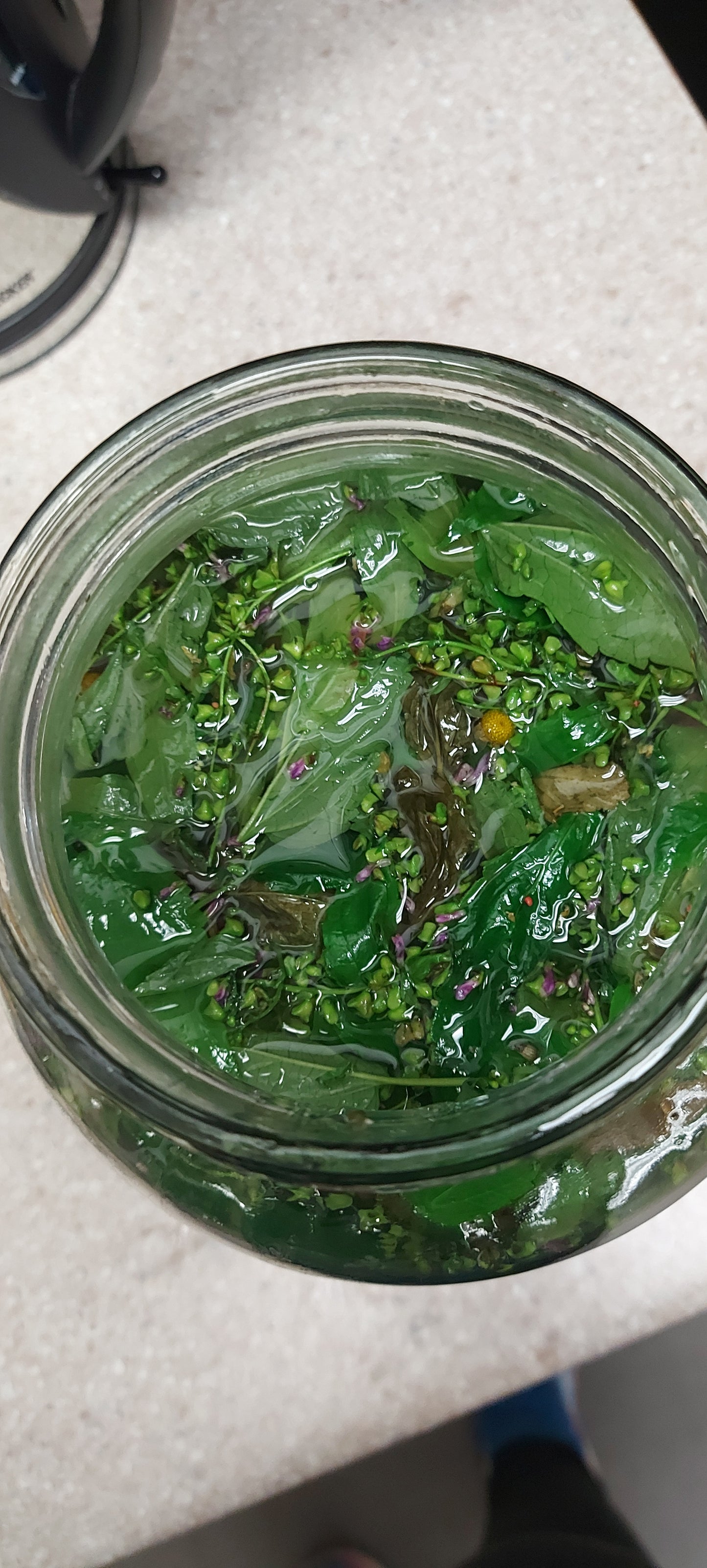 Herbal Support for the Nervous System & Adrenals