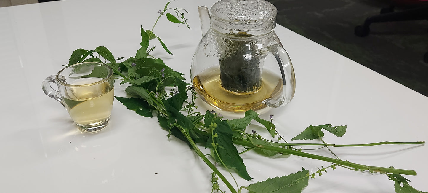 Herbal Support for the Nervous System & Adrenals