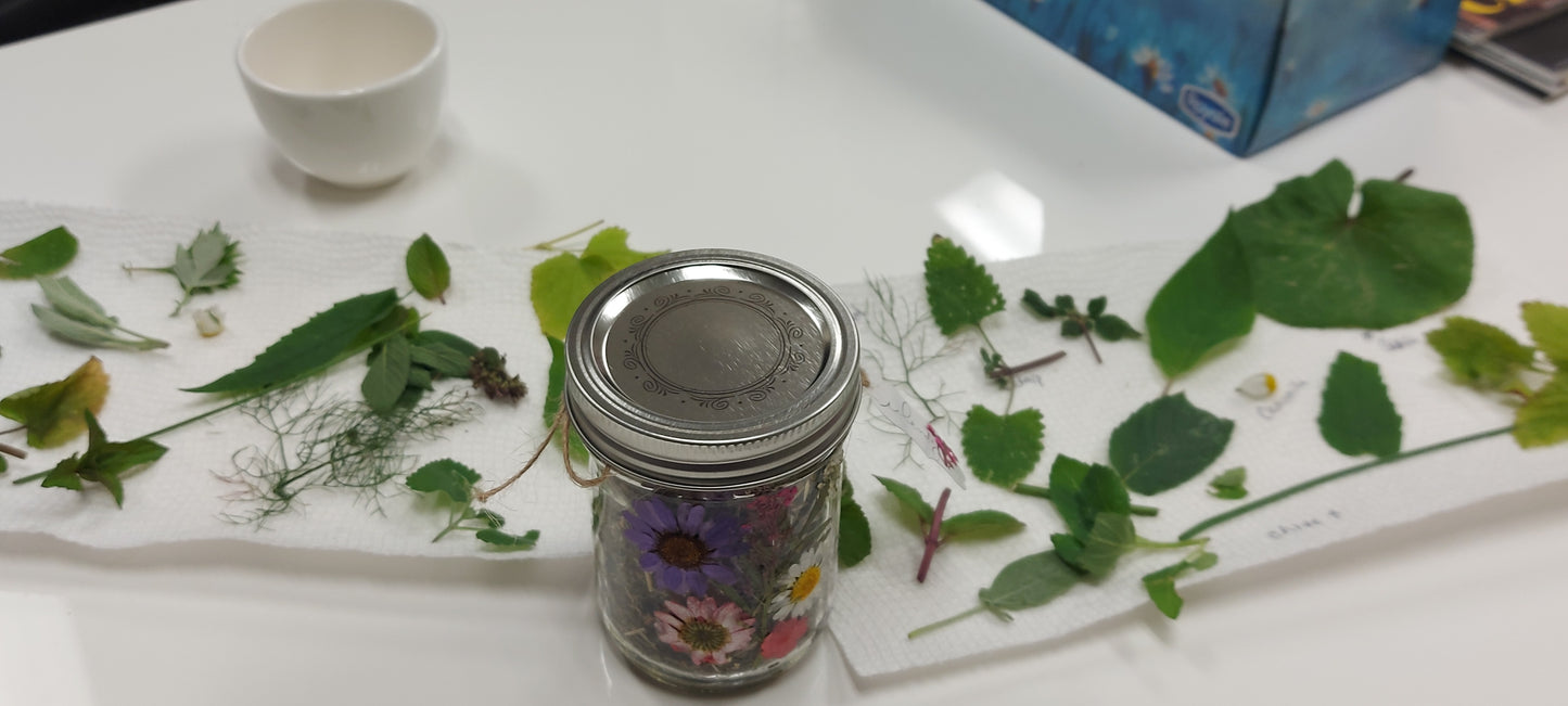 Food, Foraging and Medicine Class
