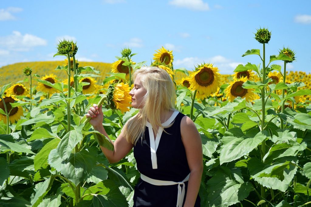 Woman sniffing sunflowers in a sunflower garden