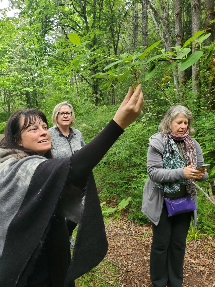 Teaching about herbs on a forest walk building connection