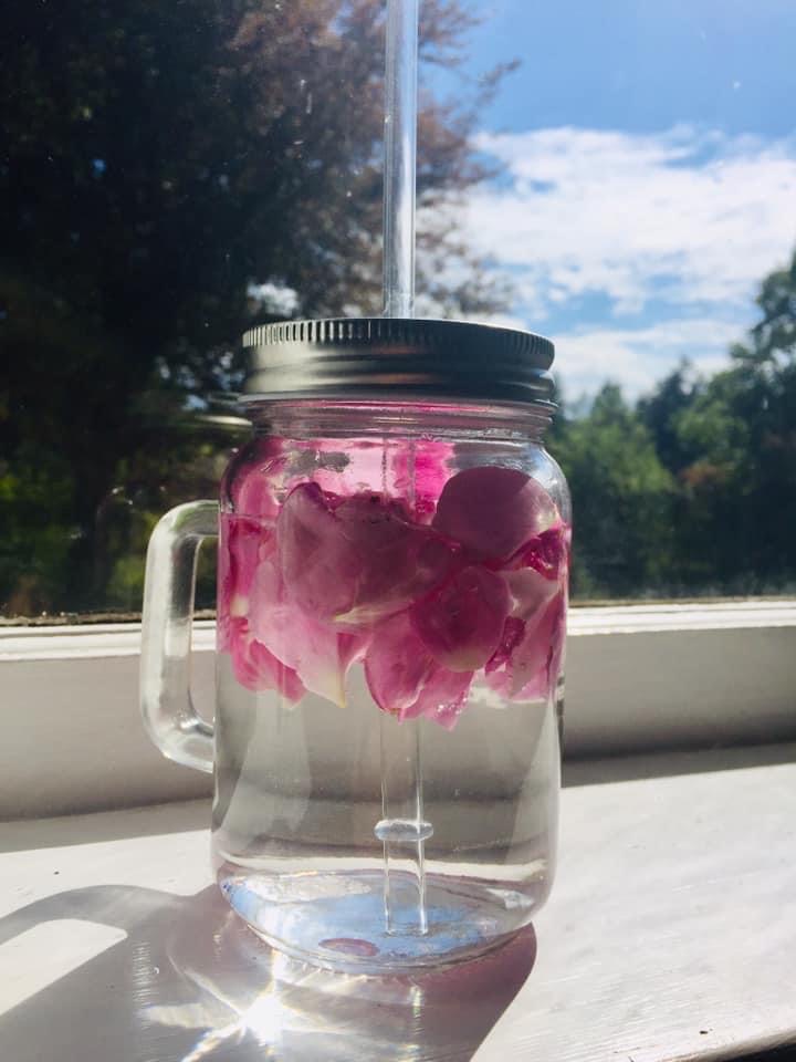 Rose petals and water in a mason jar with lid and straw in the sun making a sun tea solar infusion