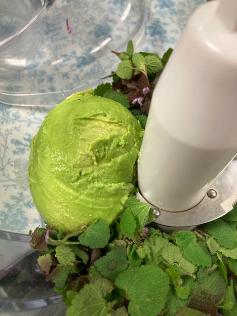 Avocado, fresh greens with purple dead nettles in a food processor